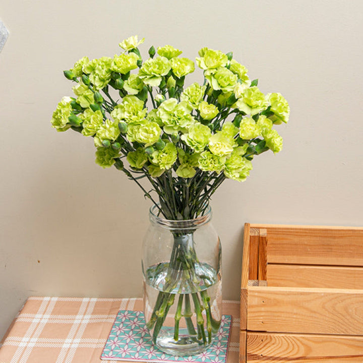 Bouquet of 10 fresh carnations and baby parsley stems from SQ Flora Kenya, showcasing vibrant flowers and greenery.