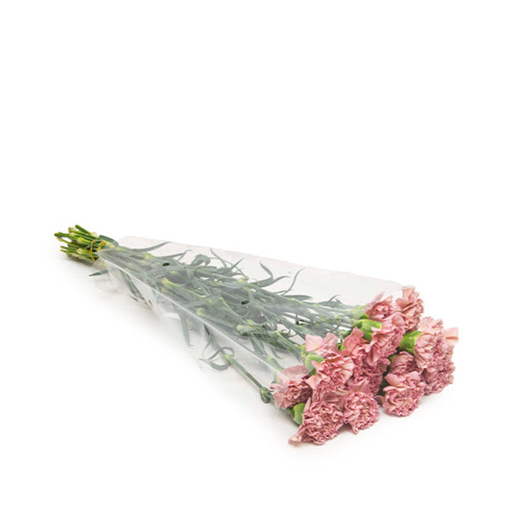 Bouquet of 19 pink carnations from Black Tulip, arranged in a floral display on a white background.