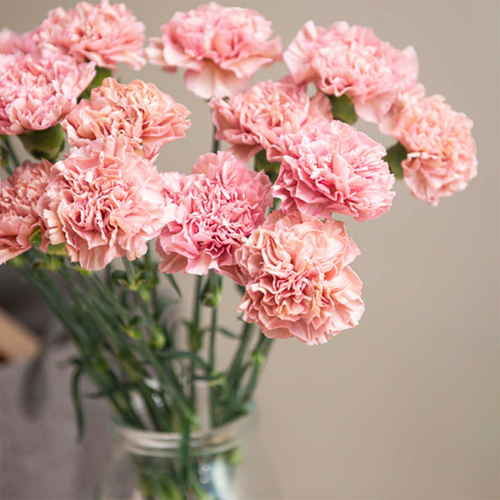 Bouquet of 19 vibrant Babylon carnations arranged in a floral display by Black Tulip, showcasing colorful, fresh flower stems.