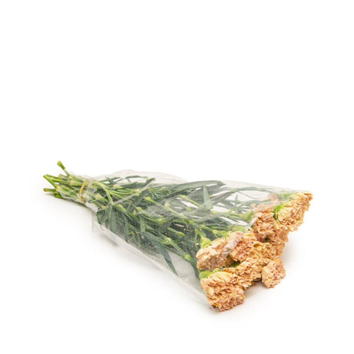 Bouquet of 19 brown cappuccino-colored carnations from SQ Flora Kenya, arranged with lush green leaves.
