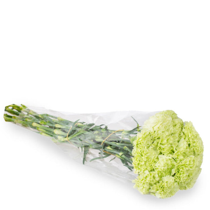 Bouquet of 19 green carnations from SQ Flora Kenya arranged with fresh green foliage