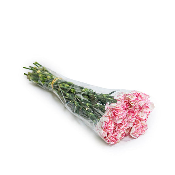 Pastel Damascus carnations from SQ Flora Kenya, 19 stems of vibrant, soft-colored flowers arranged in a bouquet.