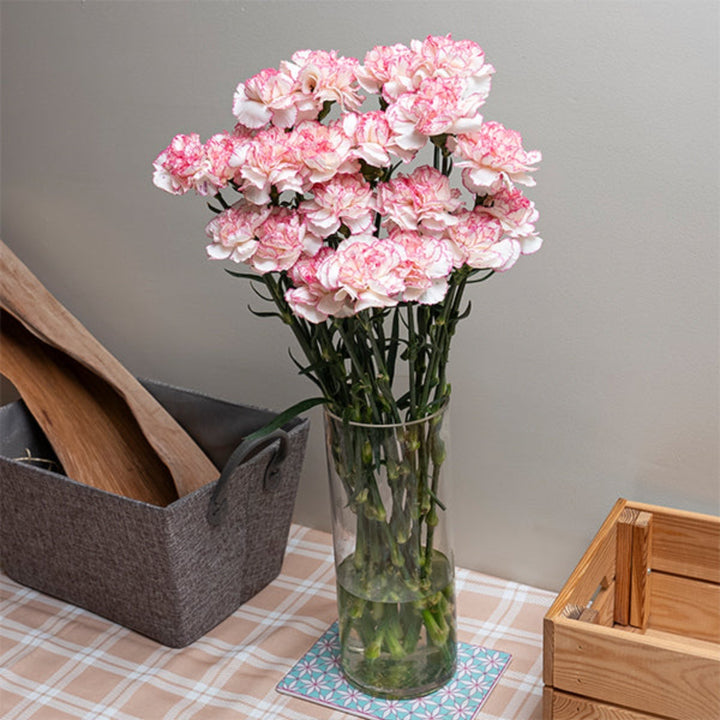 Pastel pink and white carnations arranged in a bouquet, 19 stems, from SQ Flora Kenya showcasing fresh, vibrant flowers.