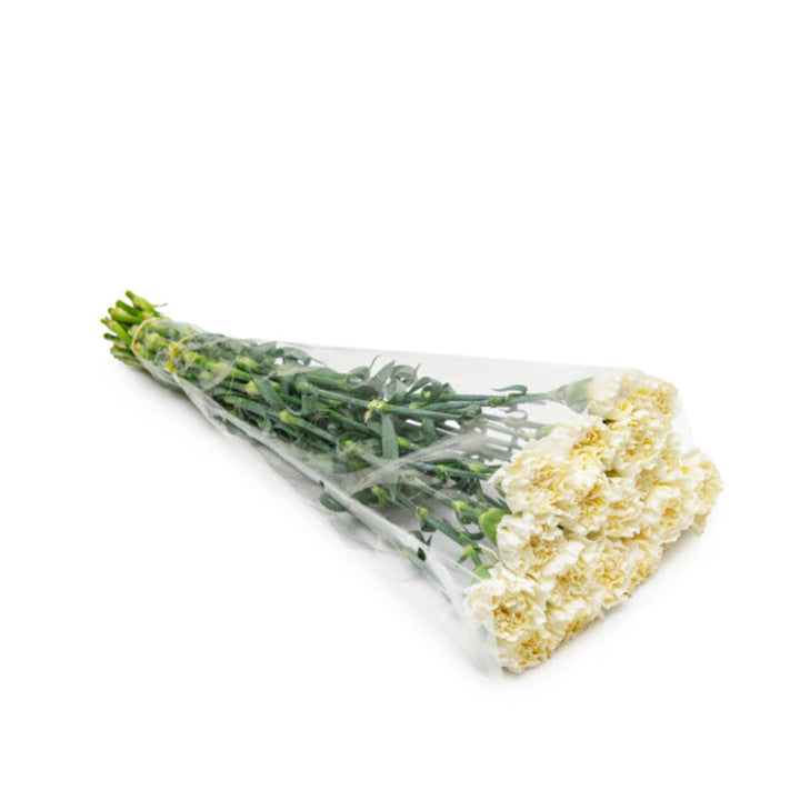Snow Storm carnations from SQ Flora Kenya, 19 stems of vibrant white and green flowers arranged in a bouquet.