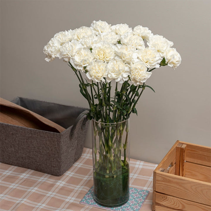Bouquet of 19 snow storm carnations from SQ Flora Kenya, showing white and grayish petals in a natural floral arrangement.