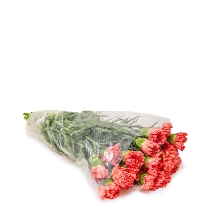 Bouquet of 19 vibrant carnations with tamarind accents, arranged by SQ Flora Kenya, showcasing fresh, colorful flowers.