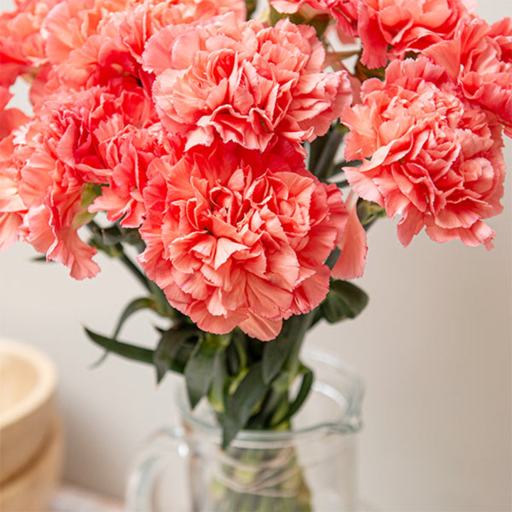 Bouquet of 19 vibrant carnations with tamarind accents from SQ Flora Kenya, showcasing fresh, colorful flower stems.