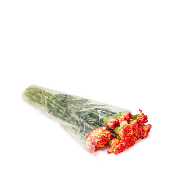 Bouquet of 19 vibrant Zenit carnations from SQ Flora Kenya, showcasing colorful, fresh flower stems arranged together.