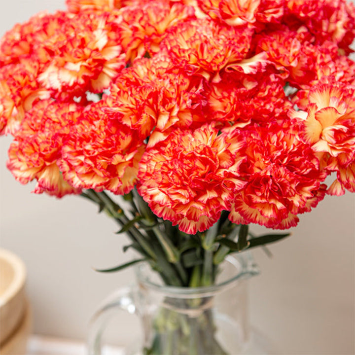 Bouquet of 19 Zenit carnations from SQ Flora Kenya arranged in a clear glass vase. Fresh, vibrant pink flowers.