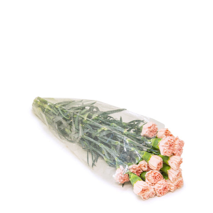 Fresh pink Novia carnations with 19 stems from SQ Flora Kenya, arranged in a natural bouquet.