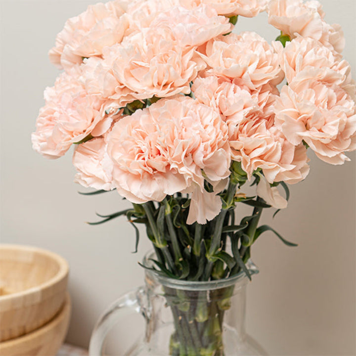 Bouquet of 19 pink Carnations from SQ Flora Kenya, arranged in a natural display with green foliage.