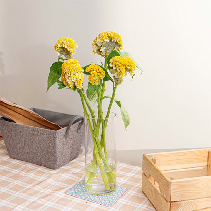 Fresh Flower Holland Celosia Yellow flower stems, bright and vibrant, showcasing five colorful blooms with lush green foliage.