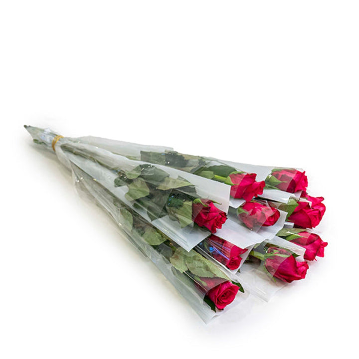 Cerise pink rose flower from SQ Flora Kenya, single stem wrapped individually, showcasing vibrant color and delicate petals.