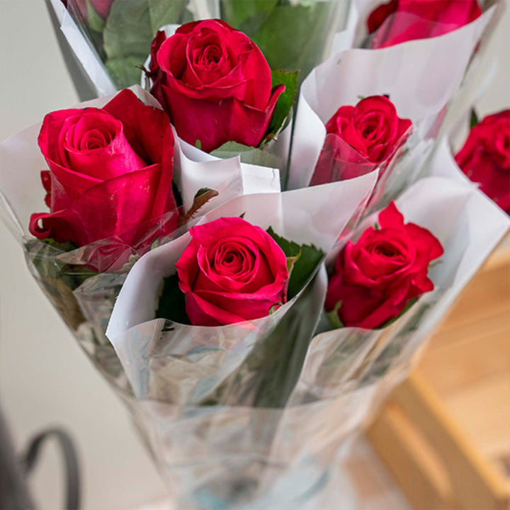 Cerise pink rose flower from SQ Flora Kenya, single stem with vibrant blooms, individually wrapped for freshness.