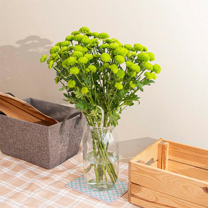 Bright green Peptalk Chrysanthemum flowers on 10 stems, vibrant and fresh for floral arrangements, by SQ Flora Kenya.