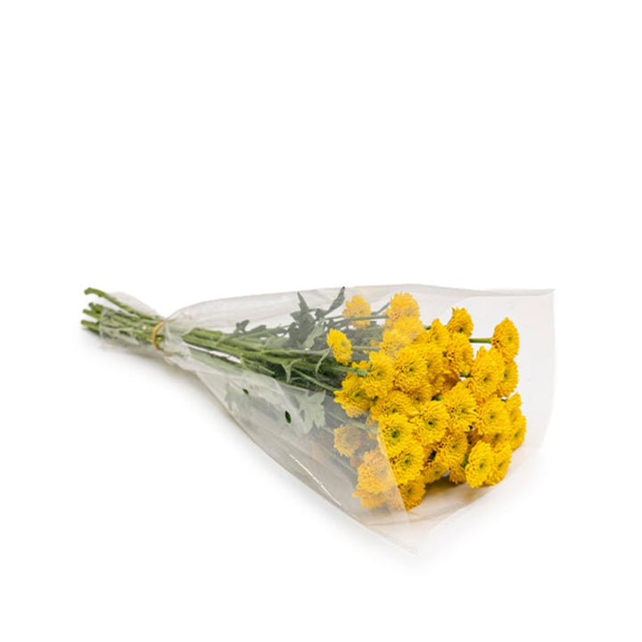 Bright yellow Santini Sunny chrysanthemums from SQ Flora Kenya, showing 10 fresh flower stems ready for floral arrangements.