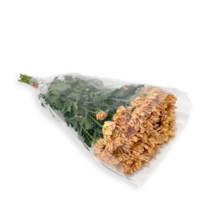 Black Tulip Chrysanthemums and Kalimba salmon spray flowers, 10 stems, fresh floral arrangement with vibrant blooms