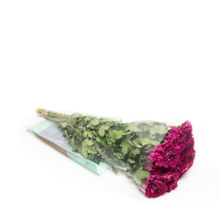 Fresh Lamira chrysanthemums in a bouquet, featuring vibrant yellow and orange blooms on 10 flower stems.