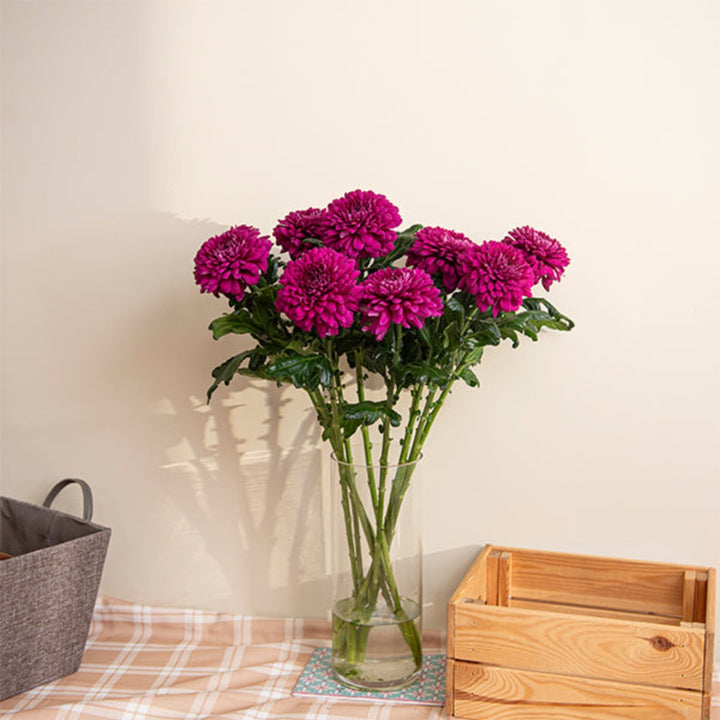 Fresh Flower Holland Lamira chrysanthemums with 10 stems, vibrant orange flowers arranged for display.