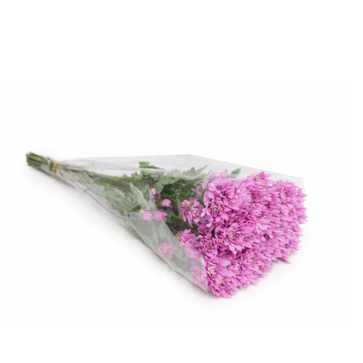 Pink Chrysanthemums flower stems by Black Tulip, showing vibrant pink blooms and green foliage, arranged in a bunch.