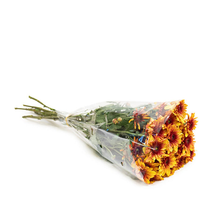 Yellow Chrysanthemums from SQ Flora Kenya, 10 stems of vibrant Podolsk flowers arranged in a bouquet.