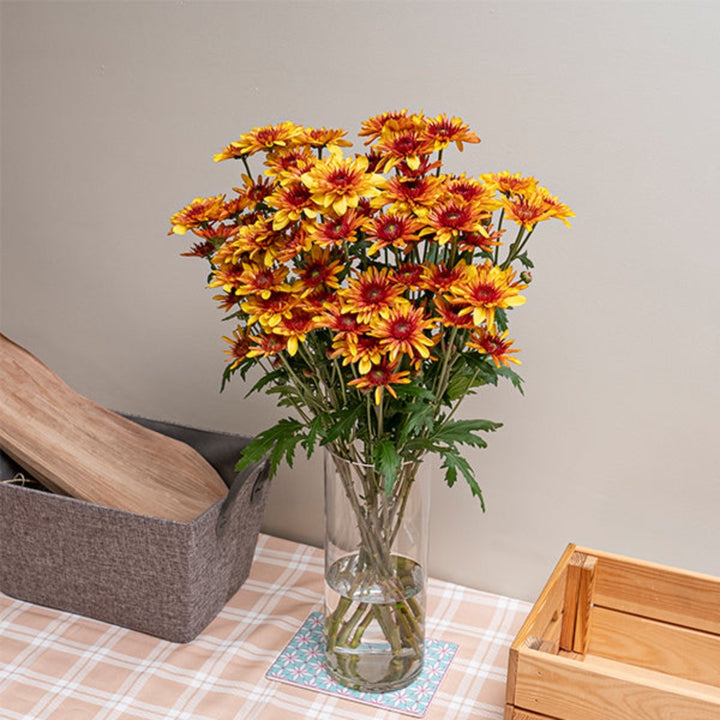 Yellow Chrysanthemums from SQ Flora Kenya, 10 stems of vibrant Podolsk flowers arranged in a bouquet.