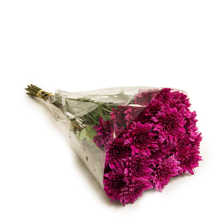 Purple Chrysanthemums flower stems by Black Tulip, showing vibrant purple blooms and green foliage on 10 fresh stems.