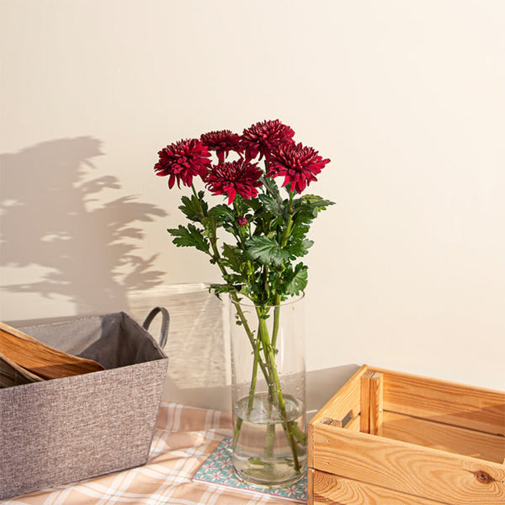 Bright yellow chrysanthemum flowers from Flowranow with five stems, showcasing full blooms and lush green foliage.