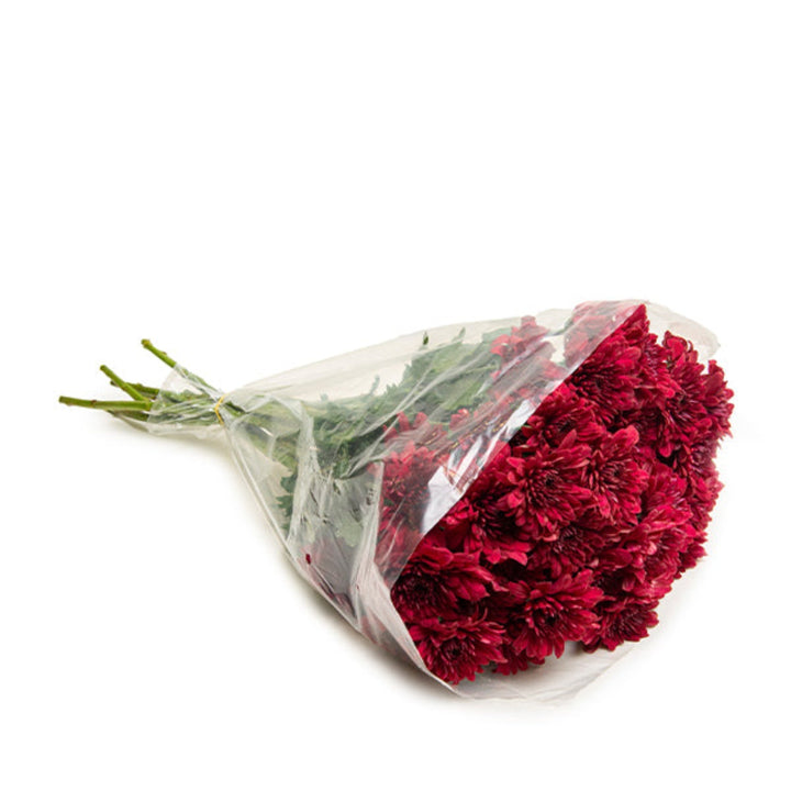 Red chrysanthemum flowers from Black Tulip, 10 stems, fresh and vibrant, displayed in a natural floral arrangement.