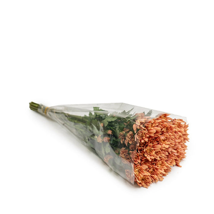 Salmon-colored chrysanthemums, veronica flowers, and greenery arranged in a bouquet with 10 flower stems by Black Tulip.
