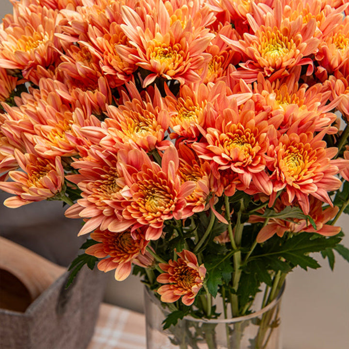 Salmon-colored chrysanthemums, veronica, and other flowers in a bouquet with 10 stems, arranged by Black Tulip.