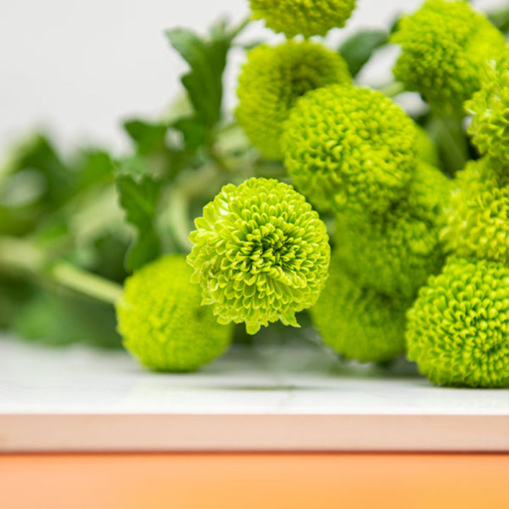 Green spray chrysanthemums by Flowranow featuring five fresh flower stems with vibrant blooms and lush green foliage.