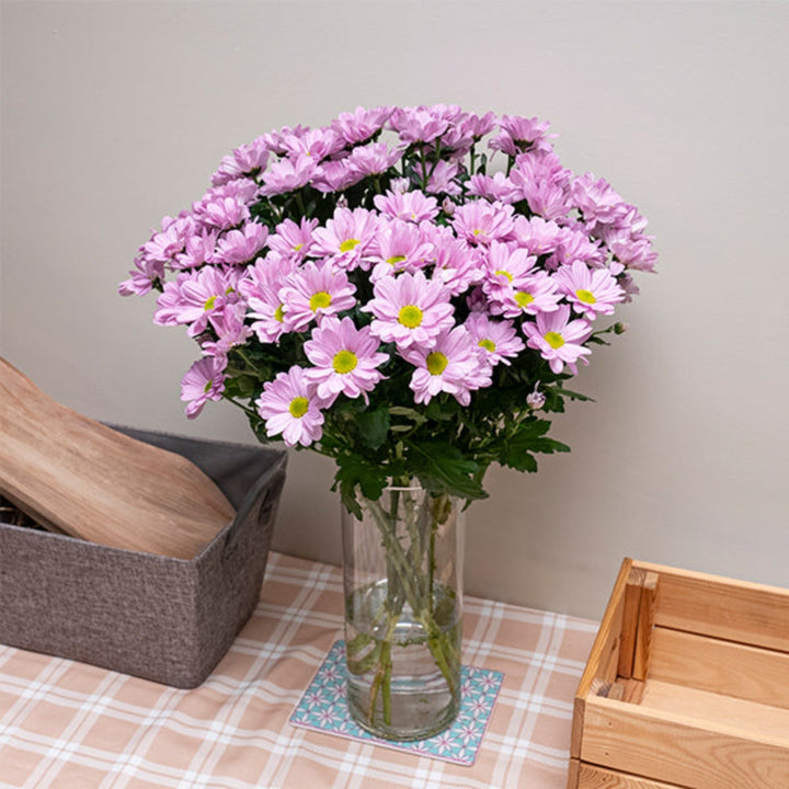 Fresh Chrysanthemums Spray Jolene with 10 stems from Fresh Flower Holland, showcasing vibrant, blooming flower stems.