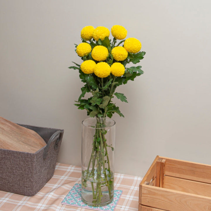 Yellow chrysanthemum flowers from Gold Petals China, 10 stems of vibrant Superbowl variety, arranged in a bouquet.