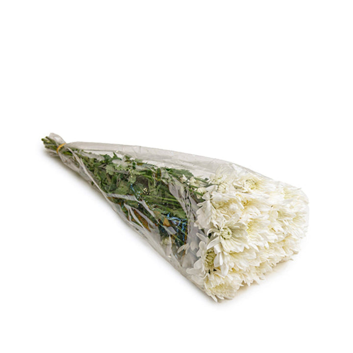 White Chrysanthemums flower stems from Black Tulip, showing 10 fresh, vibrant blooms with green foliage on a neutral background.