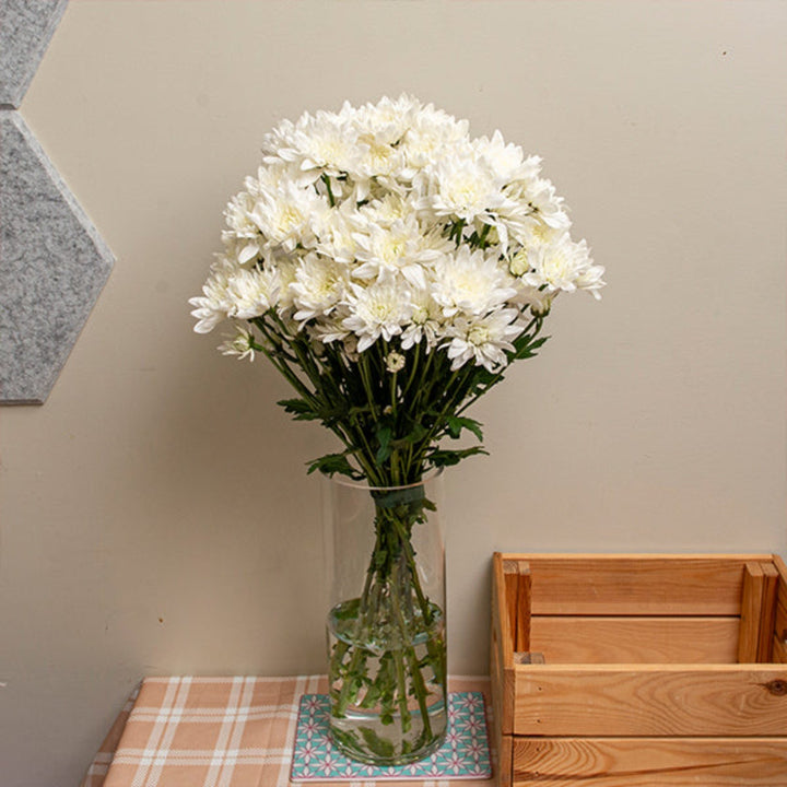 White chrysanthemums flower stems from Black Tulip with 10 fresh blooms, shown in a natural arrangement.