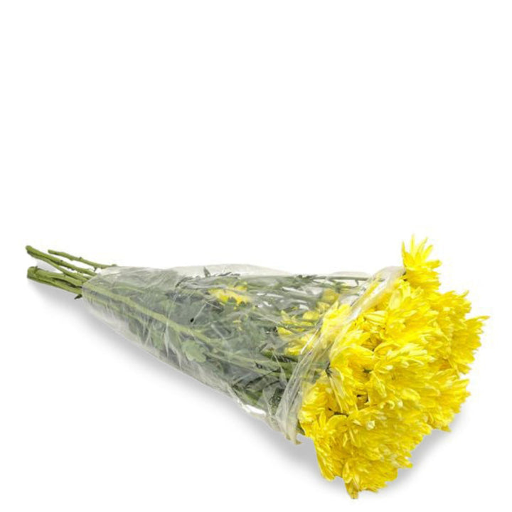 Bright yellow chrysanthemums flower bouquet with 10 stems from Black Tulip, showcasing vibrant blooms and green foliage.