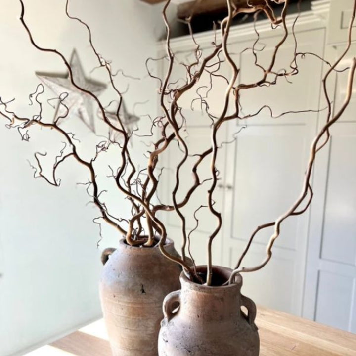 Dried Corylus Avellana Cortona flower stems, 10-pack, from Fresh Flower Holland, showcasing natural, textured flower branches.