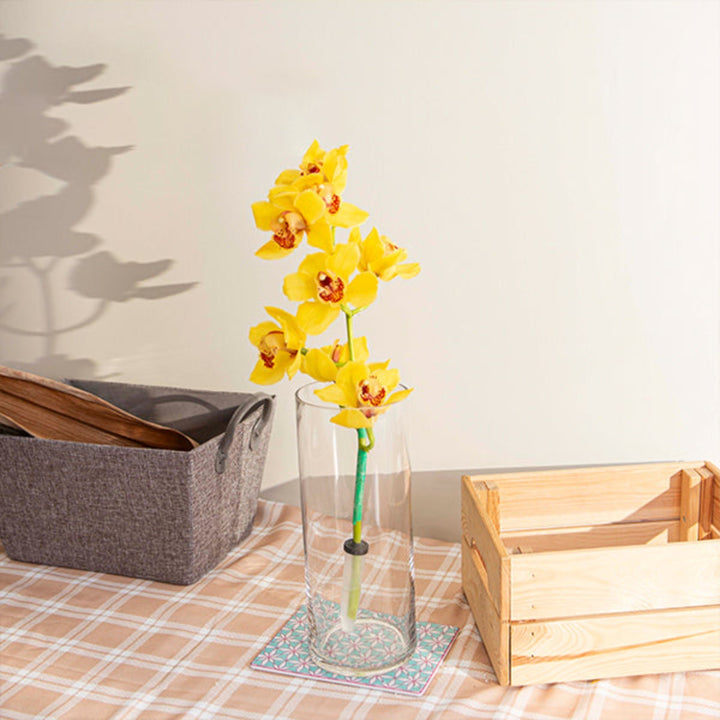 Yellow Cymbidium orchid flower on a single stem, fresh and vibrant, from Fresh Flower Holland.
