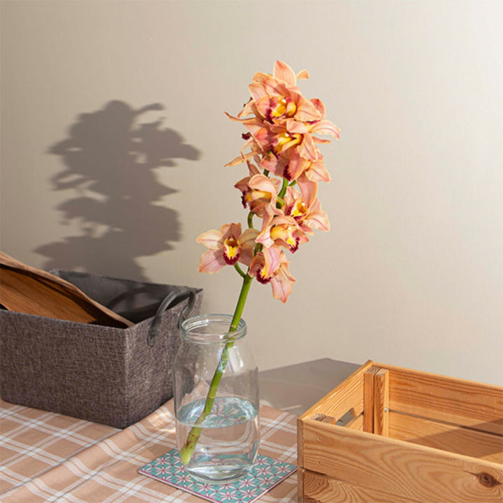 Single stem of Peach Cymbidium Orchid from Fresh Flower Holland, showcasing delicate peach blossoms and lush green foliage.