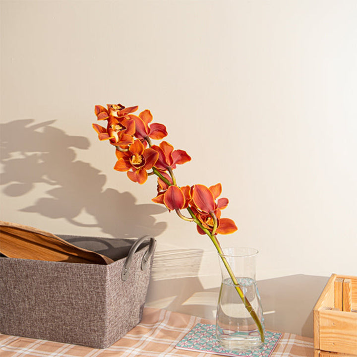 Single stem of red Cymbidium orchid flower from Fresh Flower Holland, showcasing vibrant blossoms and elegant floral details.