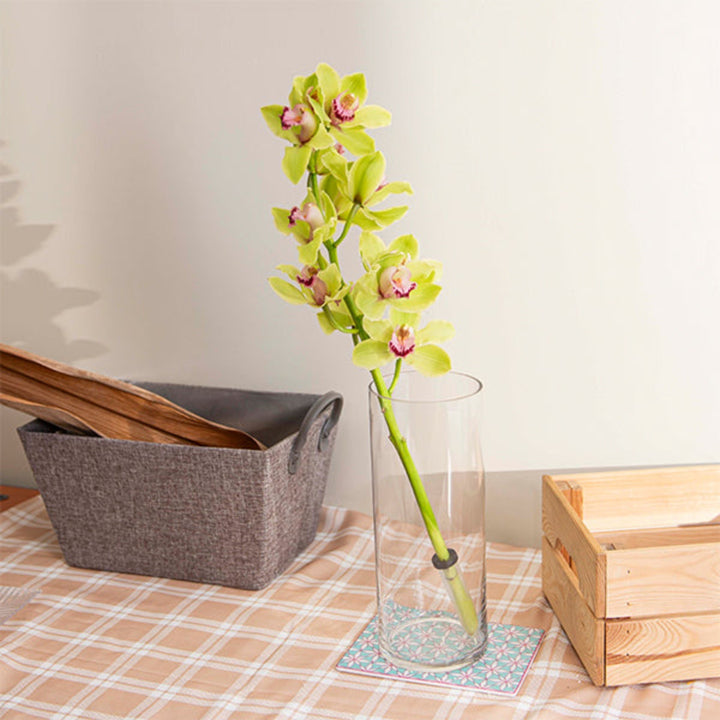 Green Cymbidium orchid flower on a single stem, fresh floral arrangement from Fresh Flower Holland.