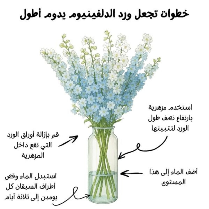 Blue Star delphiniums flower stems from Vegpro Kenya, showing five vibrant blue flower stems with lush green foliage.