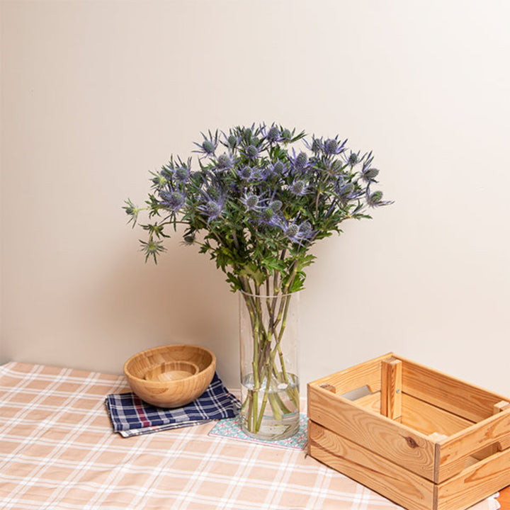 Blue Eryngiums flowers, Magical Blue, 10 stems, arranged fresh flowers by Black Tulip for floral arrangements.