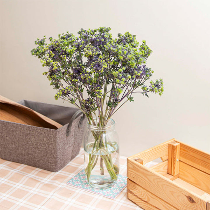 Purple spray eryngiums flowers from SQ Flora Kenya, featuring 10 stems of vibrant, textured flowering stems.