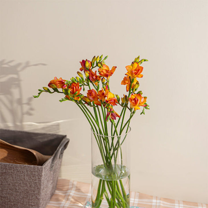 Bright orange freesia flowers from Fresh Flower Holland, 10 stems with delicate blossoms and green stems.