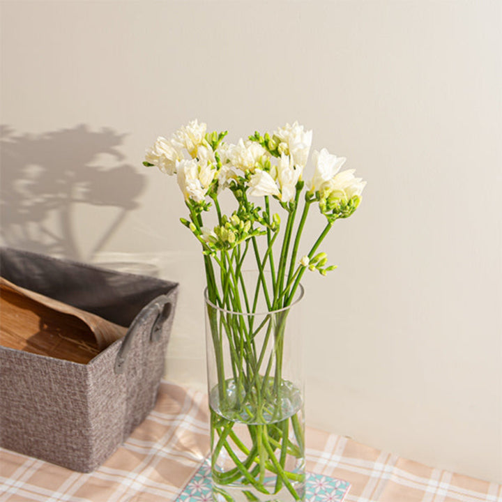 White freesia flower stems from Fresh Flower Holland, showcasing delicate blooms and green foliage in a natural arrangement.