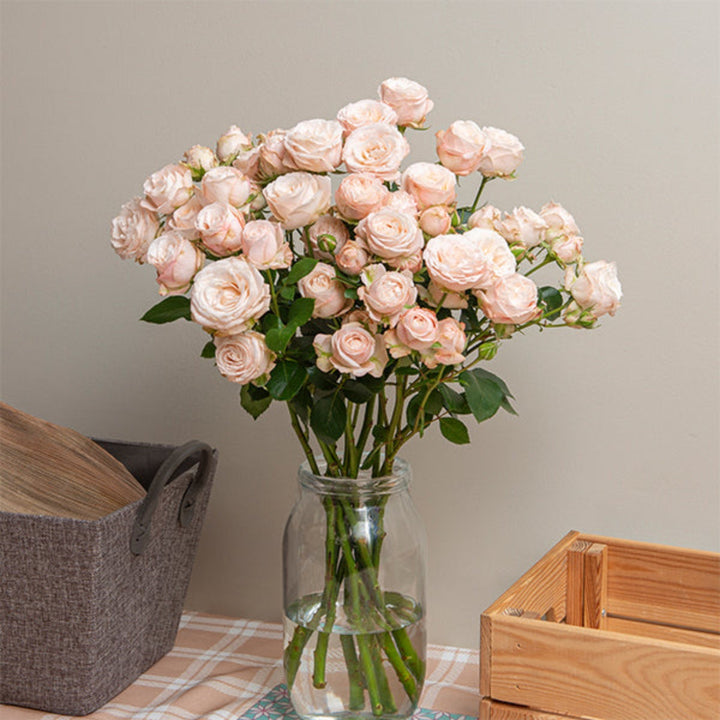 Pink Rose Bombastic garden spray from SQ Flora Kenya with 10 stems, showing lush pink roses and green foliage.