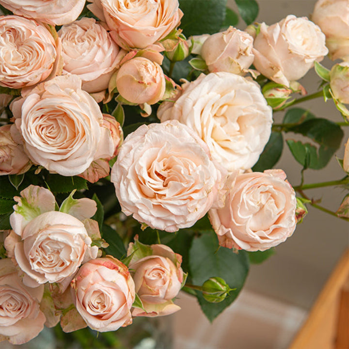Pink Rose Bombastic garden spray with 10 stems, vibrant flowers by SQ Flora Kenya, arranged in a natural bouquet.