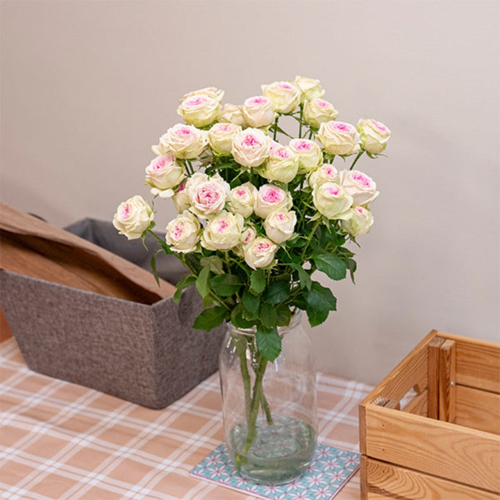 SQ Flora Kenya Garden Spray Rose Gelato with 5 stems, vibrant pink flowers, and lush green foliage in a natural arrangement.